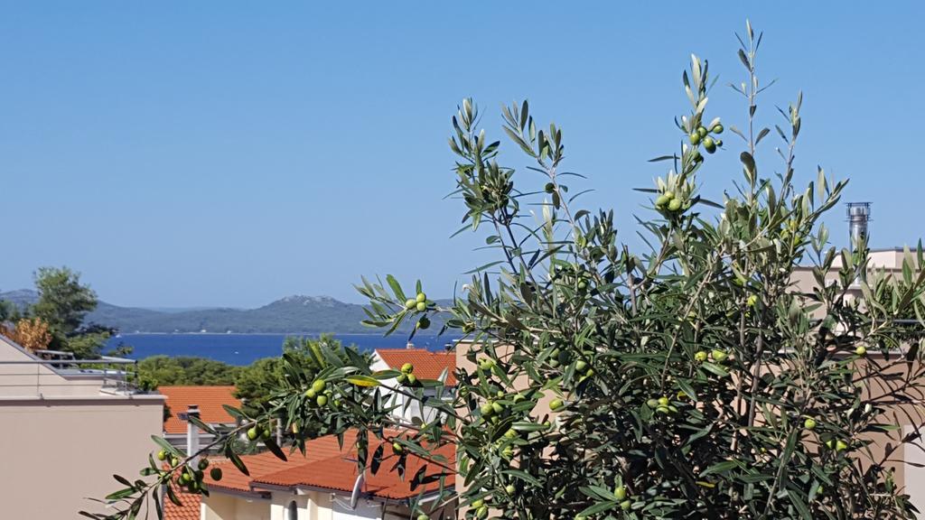 Apartment Garden Terrace Zadar Exterior photo